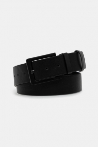 RW25-PAM300