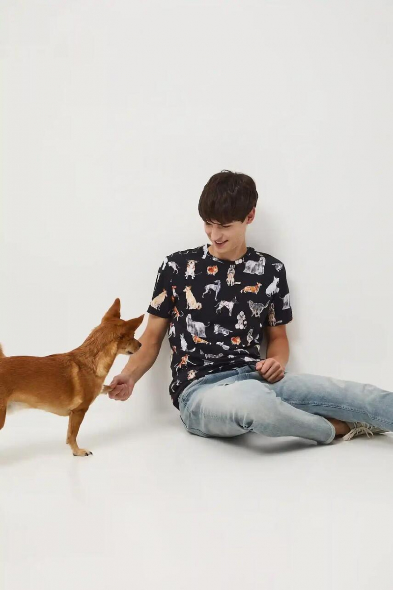 Футболка мужская MEDICINE RW25-TSM453