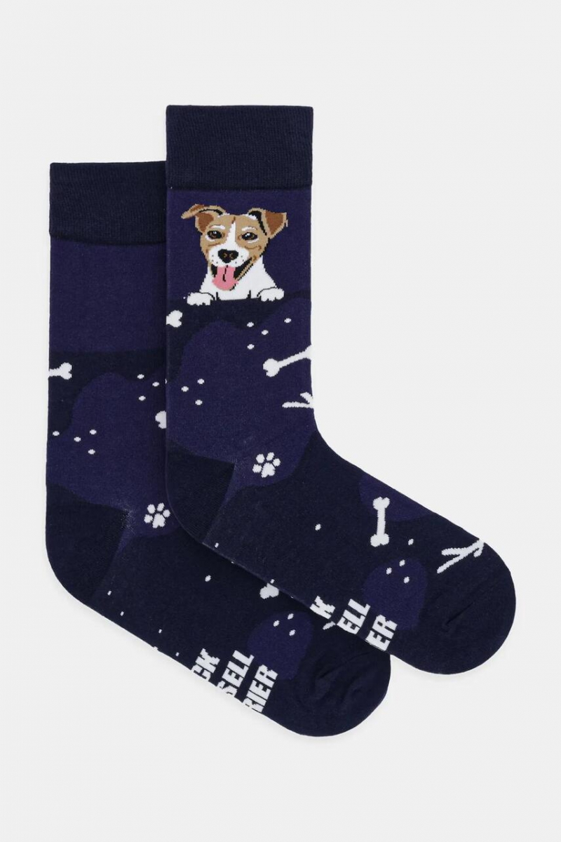 Шкарпетки чоловічі MEDICINE RW25-LGM602