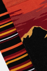 Шкарпетки чоловічі MEDICINE RW25-LGM700