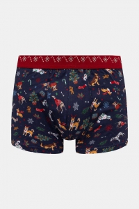 Труси-боксери чоловічі MEDICINE RW25-BBMA05