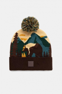 Шапка чоловіча MEDICINE RW25-CDM902