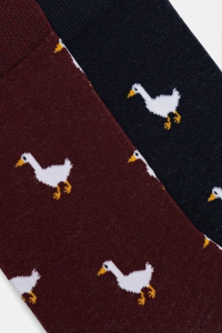 Шкарпетки чоловічі MEDICINE RW25-LGM714