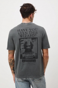 Футболка чоловіча MEDICINE  RW25-TSMB52