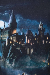 Футболка чоловіча MEDICINE  RW25-TSMB53