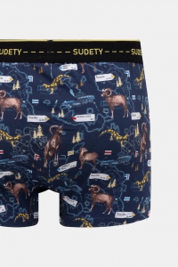 Трусы-боксеры мужские MEDICINE RS26-BBM200