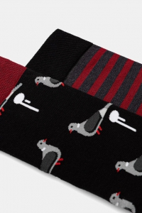 Шкарпетки чоловічі MEDICINE RS26-LGM202