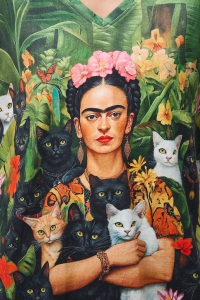 Футболка жіноча MEDICINE  RS26-TSD356