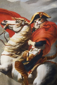 Футболка мужская  MEDICINE RS26-TSM351