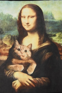 Футболка мужская  MEDICINE RS26-TSM354