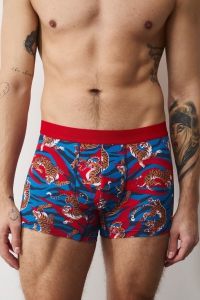 Труси-боксери чоловічі MEDICINE RS26-BIM301