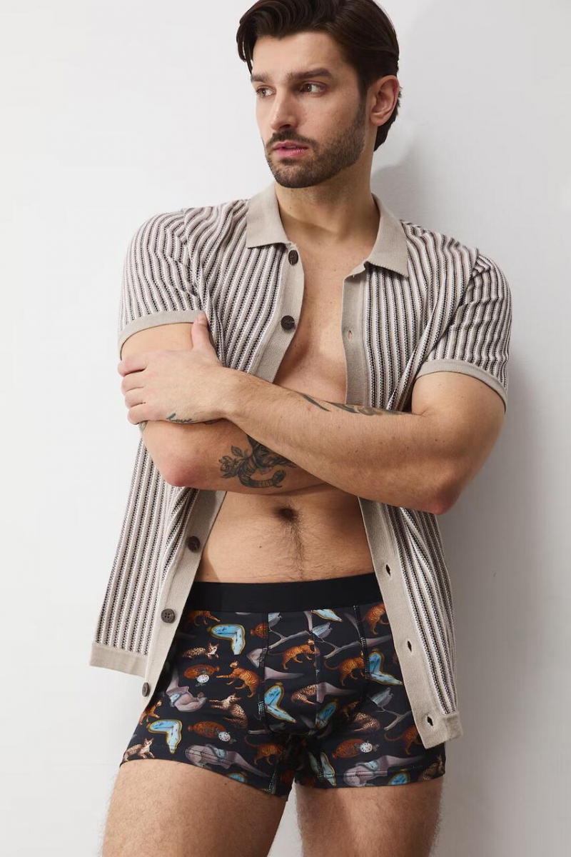 Труси-боксери чоловічі MEDICINE RS26-BIM351