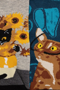 Носки мужские MEDICINE RS26-LGM309